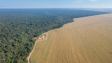 Deforestation rates in the Amazon reached a 12-year high in 2020, according to the Brazilian space agency 